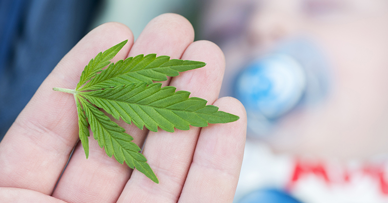 Someone holding a marijuana leave in four fingers of their upturned hand.