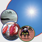 Shining sun, windy beach with palm trees, lifesaving devices on a dock overlooking the water, wheelchair racer.