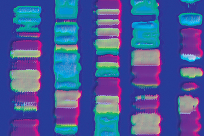 Segment of a genomic barcode.